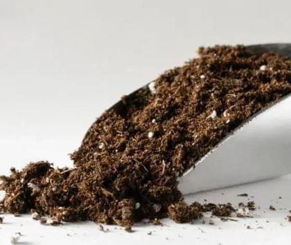 Buy Plant Food / Soil Energizer - 1 Kg Online | Urvann.com