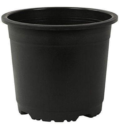 Buy 8 inch - Black Nursery Pot Online | Urvann.com