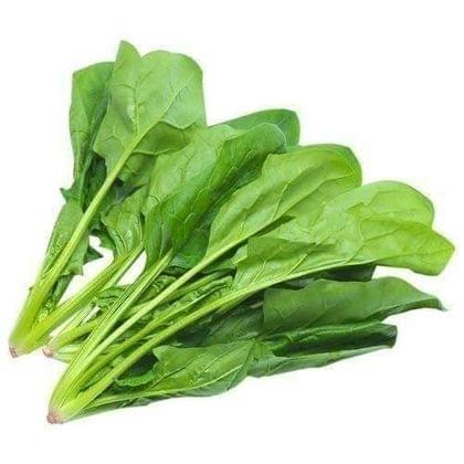Buy Palak / Spinach Seeds - Excellent Germination Online | Urvann.com