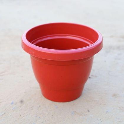 Buy 8 Inch Red Classy Plastic Pot Online | Urvann.com