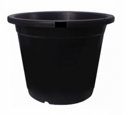 Buy 8 Inch Black Plastic Nursery Pot Online | Urvann.com