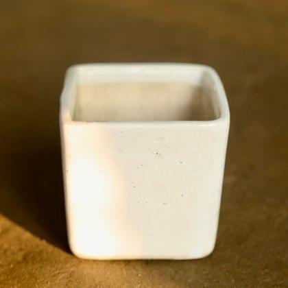 Buy 4 Inch White Classy Square Ceramic Pot Online | Urvann.com