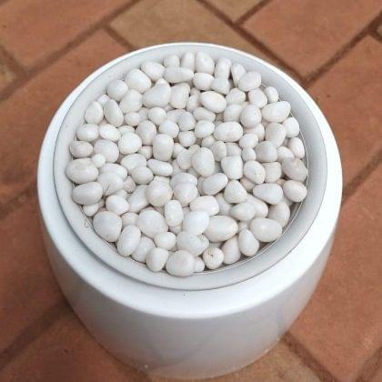 Buy Decorative White Pebbles - (0.5 to 1 Inch) - 500 gm Online | Urvann.com