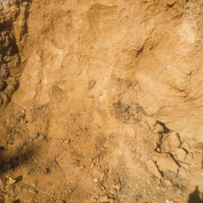 Buy Garden Soil 5 Kg Online | Urvann.com