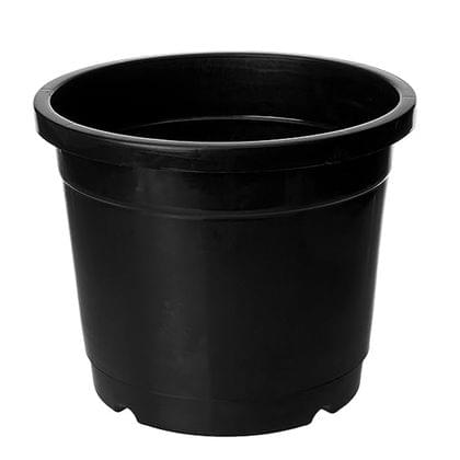 6 Inch Black Plastic Nursery Pot
