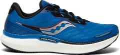 Saucony Men's Triumph 19 Running Shoe - Royal / Space