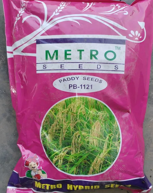 Paddy Seed- PB 1121 (METRO)