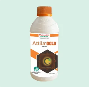 Attila Gold