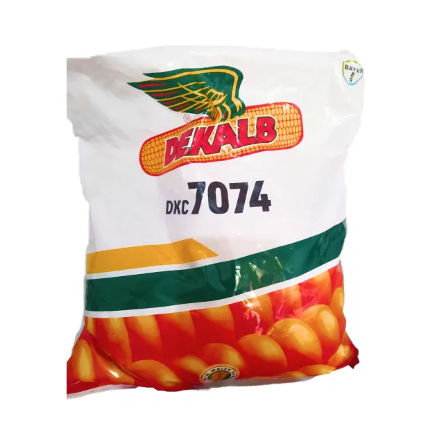 Maize Seed - 7074 (Bayer)