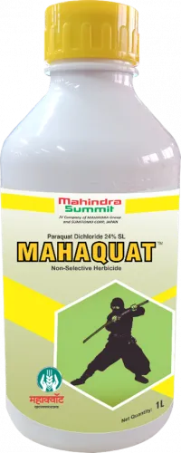 Mahaquat