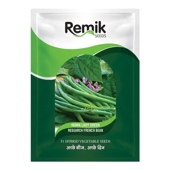 French Bean Remik Lady green