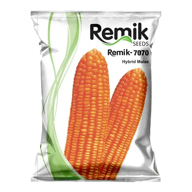 Hybrid Maize Remik 7070