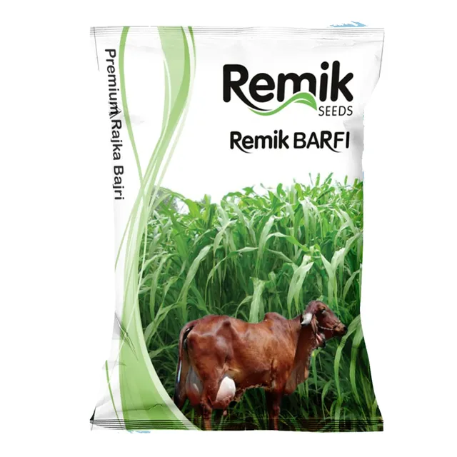 Premium Rajka Bajri Remik Barfi