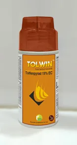Tolwin