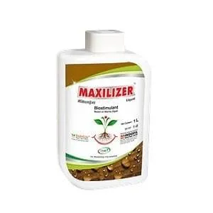 Maxilizer(Liquid)