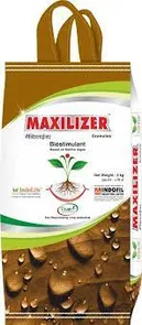 Maxilizer GR