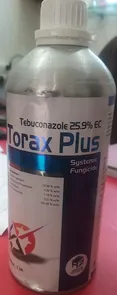 Torax Plus