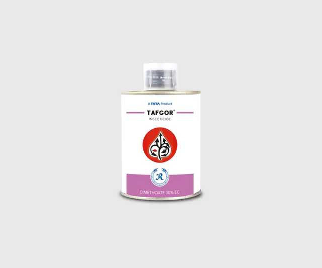 Tafgor