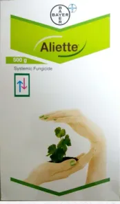 Aliette