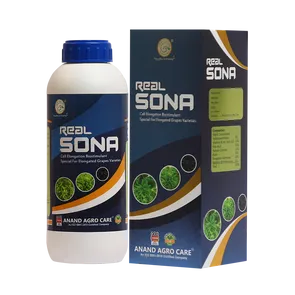 Real Sona