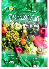 Pradhan Plus  NPK 13:0:45