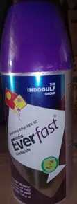 Indoever Fast