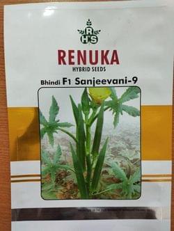 Bhindi F1 Sanjeevani - 9
