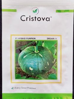 Pumpkin Hybrid Seed- DREAM 11