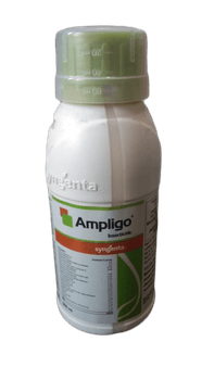 Ampligo