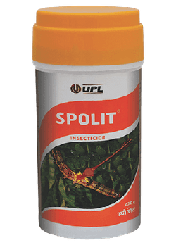 Spolit