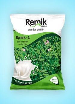 Lucenr REMIK-1