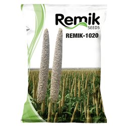 Hybrid Bajra Remik-1020