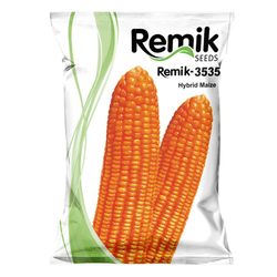 Hybrid Maize REMIK-3535 (SINGLE CROSS)