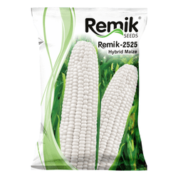 Hybrid Maize Remik 2525