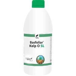 Kelp O SL