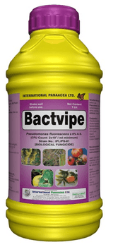 Bactvipe
