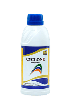 Cyclone