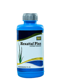 Hexattaf Plus