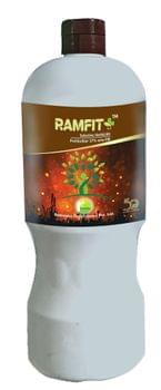 Ramfit+