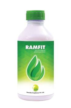 Ramfit