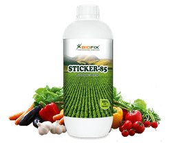 Sticker 85