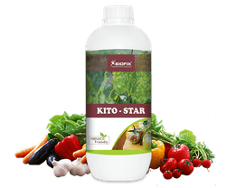 Kito-Star