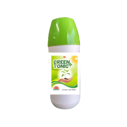 Green Tonic