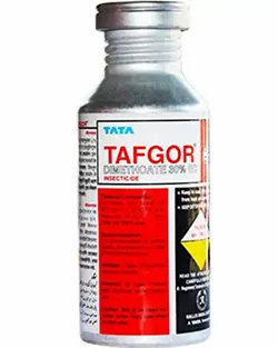 Tata-Tafgor