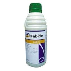 Isabion
