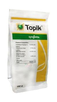 Topik