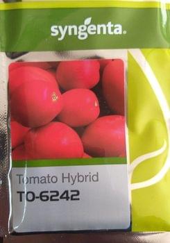 Tomato  To-6242 Hybrid seeds