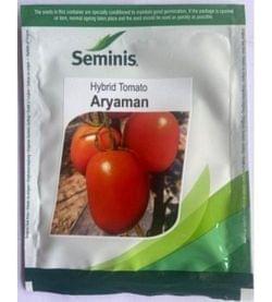 Hybrid Tomato Aryaman