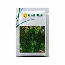 Clause Anushka F1 Hybrid bitter Gourd seeds