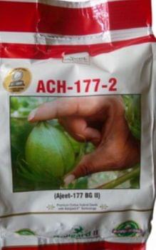 Ajeet (ACH-177-2)